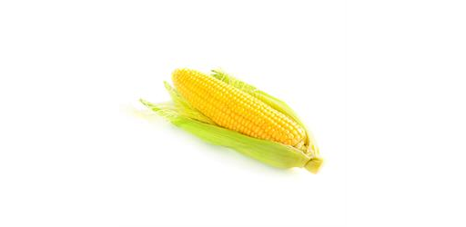 Organic Sweetcorn Cob