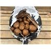 Potato Valor Organic 1kg