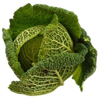 Savoy Cabbage Organic