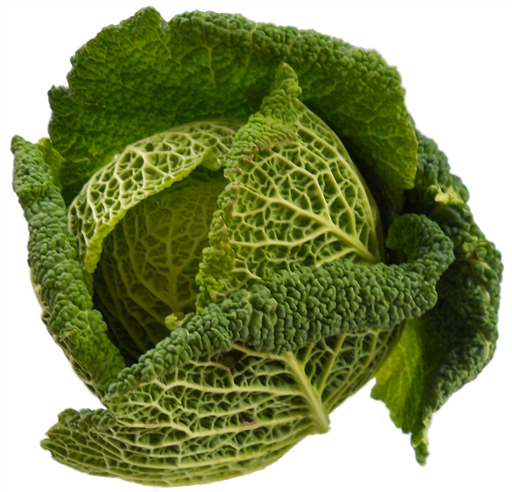 Savoy Cabbage Organic