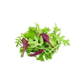 Salad Leaves Organic 100g