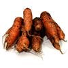 Carrots