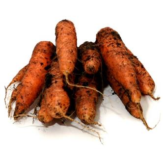 Organic Carrots