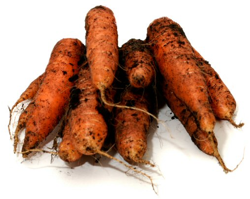 Carrots