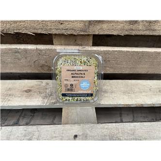 Alfalfa & Broccoli sprouts Organic 100g