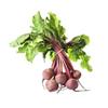 Baby Beetroot bunch