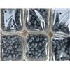 Blueberries Organic 125g