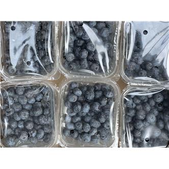 Blueberries Organic 125g