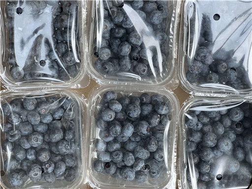 Blueberries Organic 125g