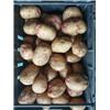 Picasso potatoes 1kg Vitality Farm
