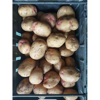 Picasso potatoes 1kg Vitality Farm