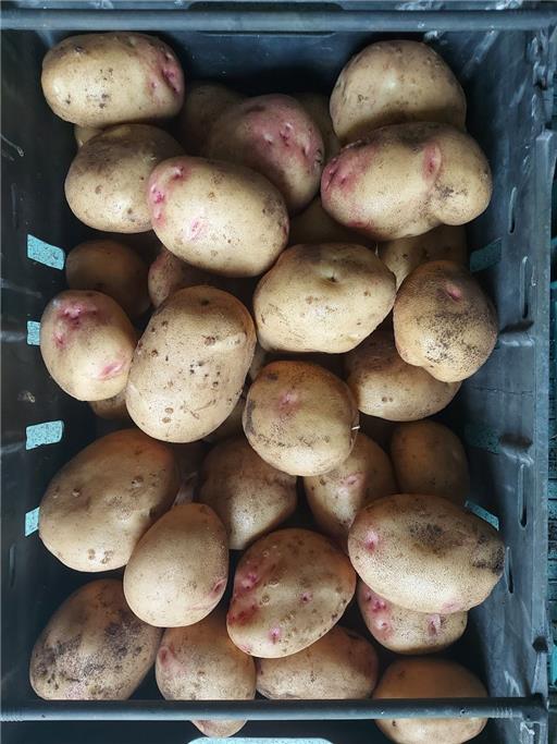 Picasso potatoes 1kg Vitality Farm