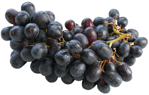 Black Grapes