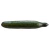 Organic Cucumber