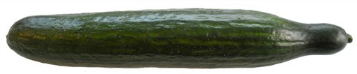 1kg Cucumbers - Farm produced