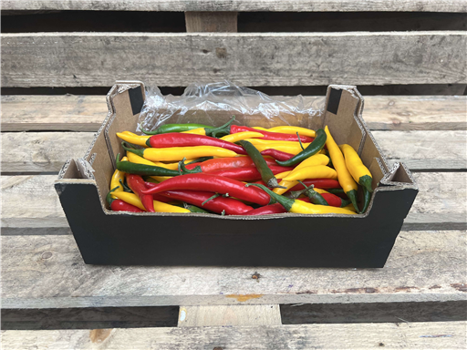 Chillis Tri Colour (4 pack)