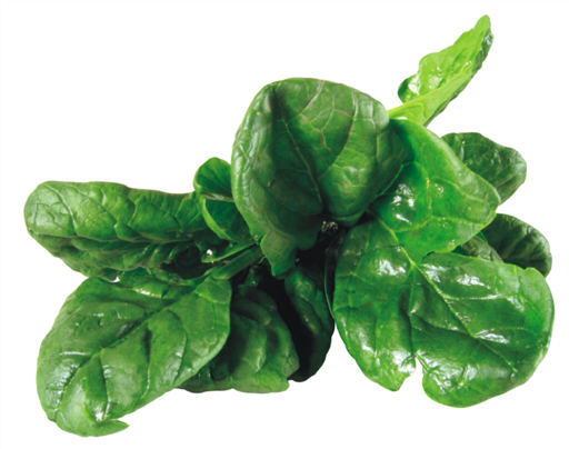Organic Spinach Baby
