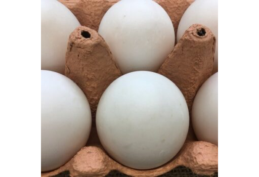 Duck eggs 6