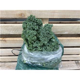 Organic Curly Kale 300g