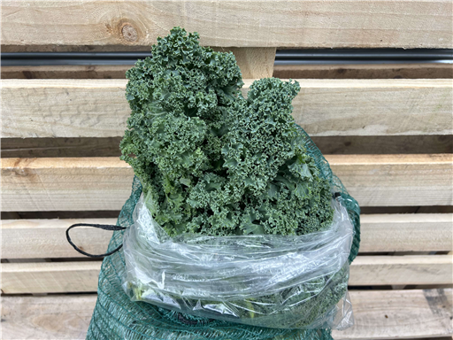 Organic Curly Kale 300g