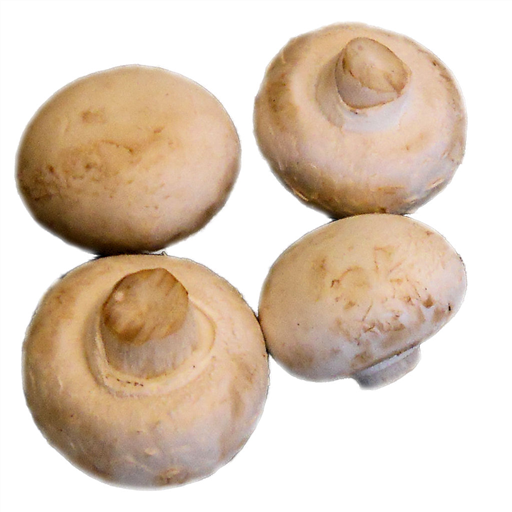 Button Mushrooms