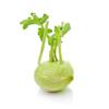Kohl Rabi Organic