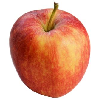 Apples Scrumptious Organic
