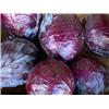 Organic Red Cabbage