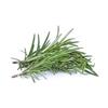 Rosemary Fresh punnet organic