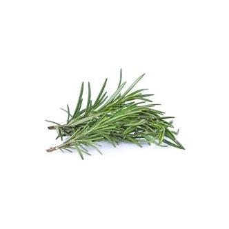 Rosemary Fresh punnet organic