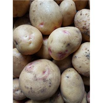 Baking Potatoes 1kg
