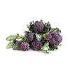 Purple sprouting broccoli organic 300g