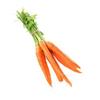 Organic Carrots - bunch