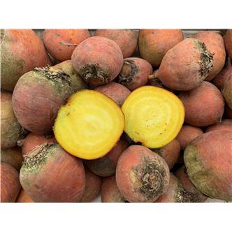 Beetroot Golden 600g