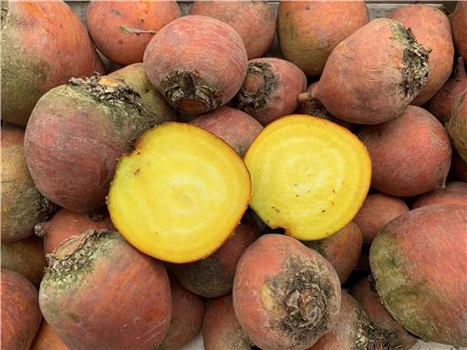 Beetroot Golden 600g Organic