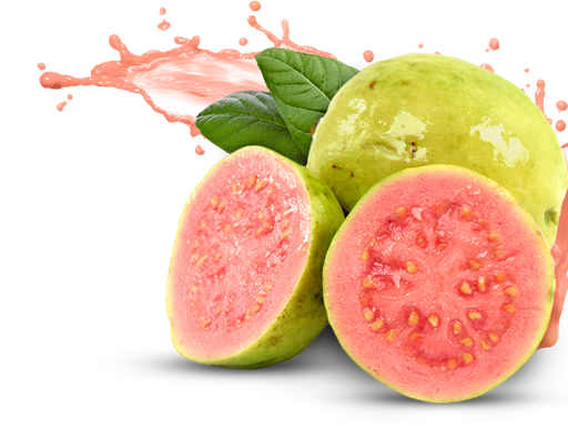 Guava Organic (Red) x3