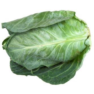 Cabbage Pointed