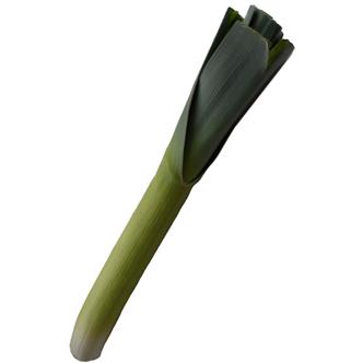 Organic Leeks