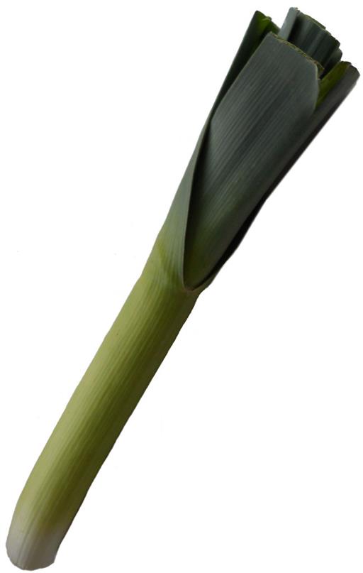 Organic Leeks