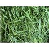 Rocket -Vitality Farm - 100g
