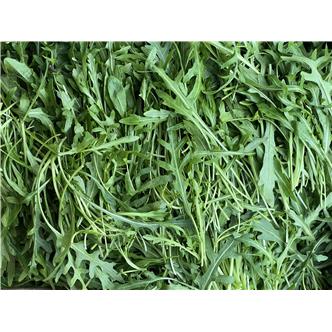 Rocket -Vitality Farm - 100g