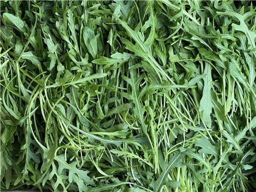 Rocket -Vitality Farm - 100g