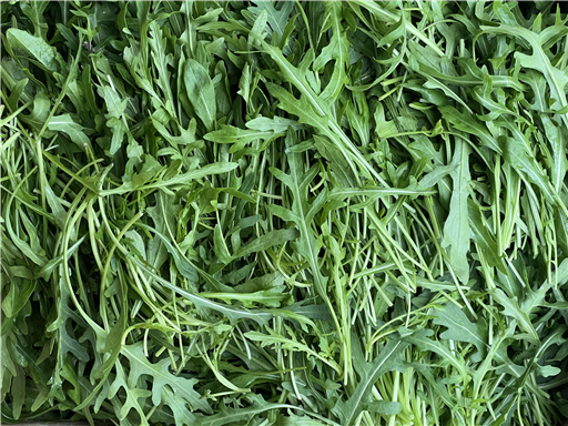 Rocket -Vitality Farm - 100g